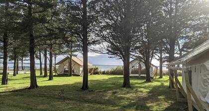 Safari Tent Glamping,D27-CedarPt, East Hampton, NY