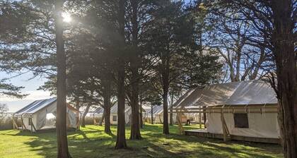 Safari Tent Glamping,S7-CedarPt, East Hampton, NY