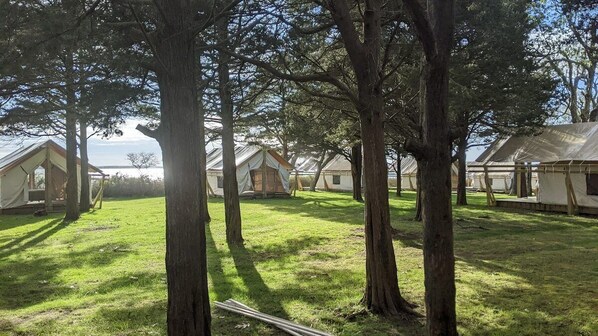 A row of simple, single-story cabins with a grassy lawn and trees in the background. - Safari Tent Glamping,S6-CedarPt, East Hampton, NY (East Hampton)