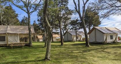 Safari Tent Glamping,S3-CedarPt, East Hampton, NY