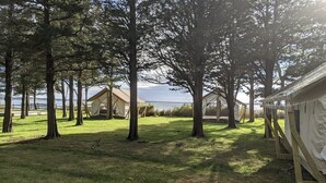 Un terrain de camping avec plusieurs tentes et des arbres, une zone herbeuse et une vue sur l’eau.