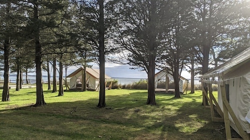 Safari Tent Glamping,S11-CedarPt, East Hampton, NY