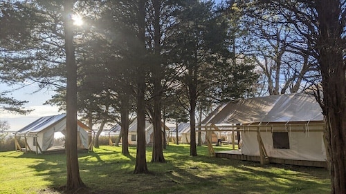 Safari Tent Glamping,S10-CedarPt, East Hampton, NY