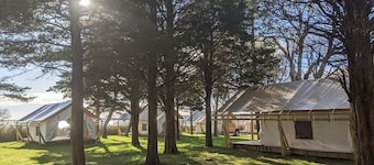 Safari Tent Glamping,S10-CedarPt, East Hampton, NY