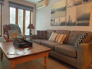 TV connectée, cheminée, livres, chaîne hi-fi