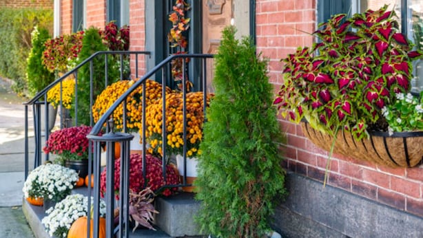 A brick building with a sign reading "OLYINGER HOUSE Bed & Breakfast Established 2023." - Lincoln Suite in charming Olinger House B&B in historic, downtown Gettysburg. (Gettysburg)