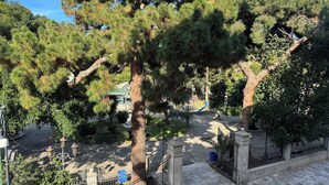 Un parc avec des arbres, une aire de jeux et une fontaine.