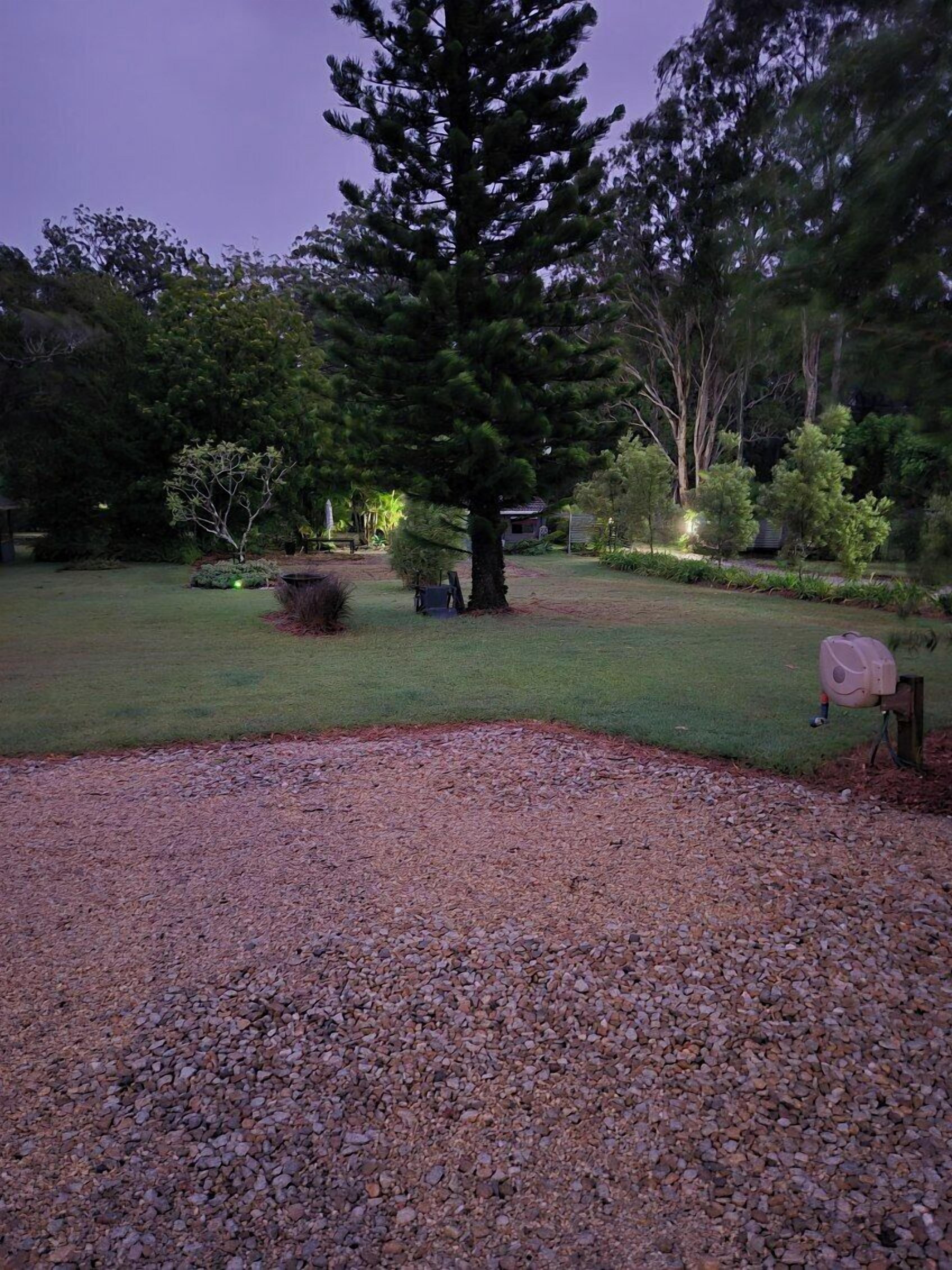 A well-maintained garden with a large tree, a gravel path, and a small shed.