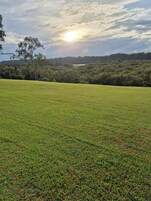 Un campo cubierto de hierba con un árbol y una colina al fondo.