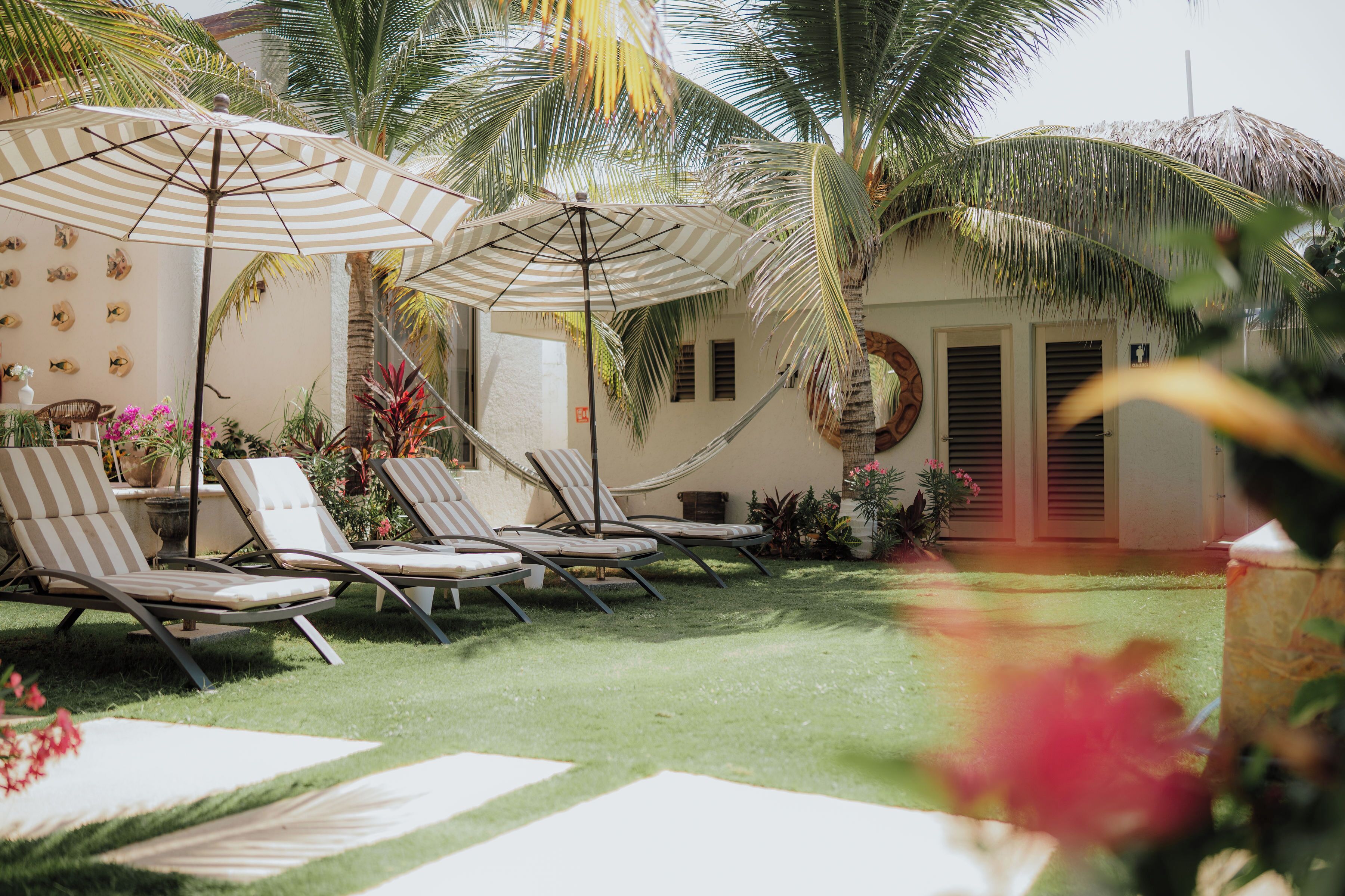 Ducha, secador de pelo, toallas y jabón