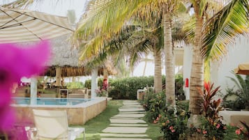 Jardim