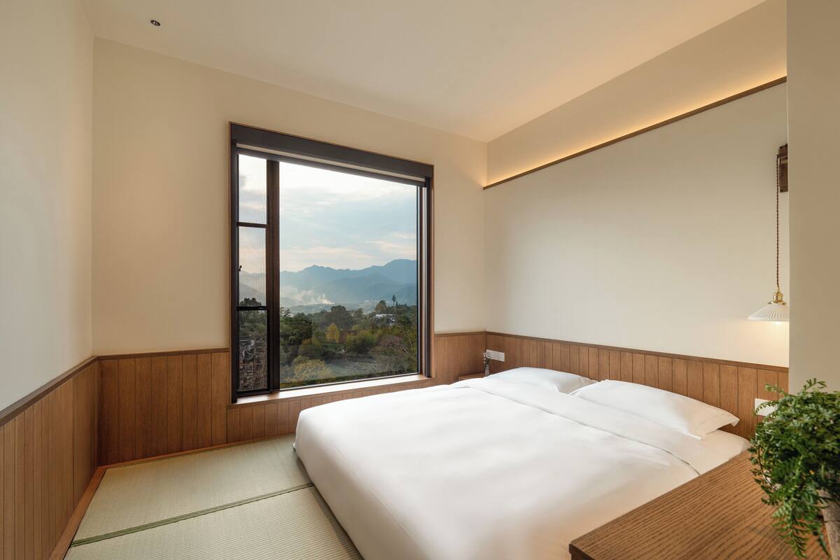 A hotel room with a large window, a bed, a bedside table, and a plant.