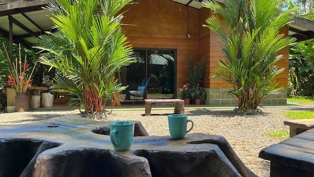 Un edificio moderno con un patio cubierto, rodeado de plantas tropicales.