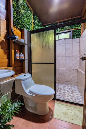 Hair dryer, towels, soap, shampoo