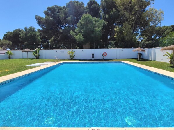 A rectangular swimming pool with clear blue water, surrounded by a white wall and a grassy area with trees.