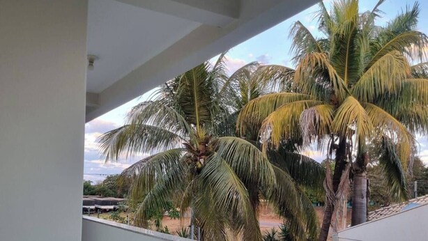 Un balcon avec vue sur les palmiers et un sol carrelé.