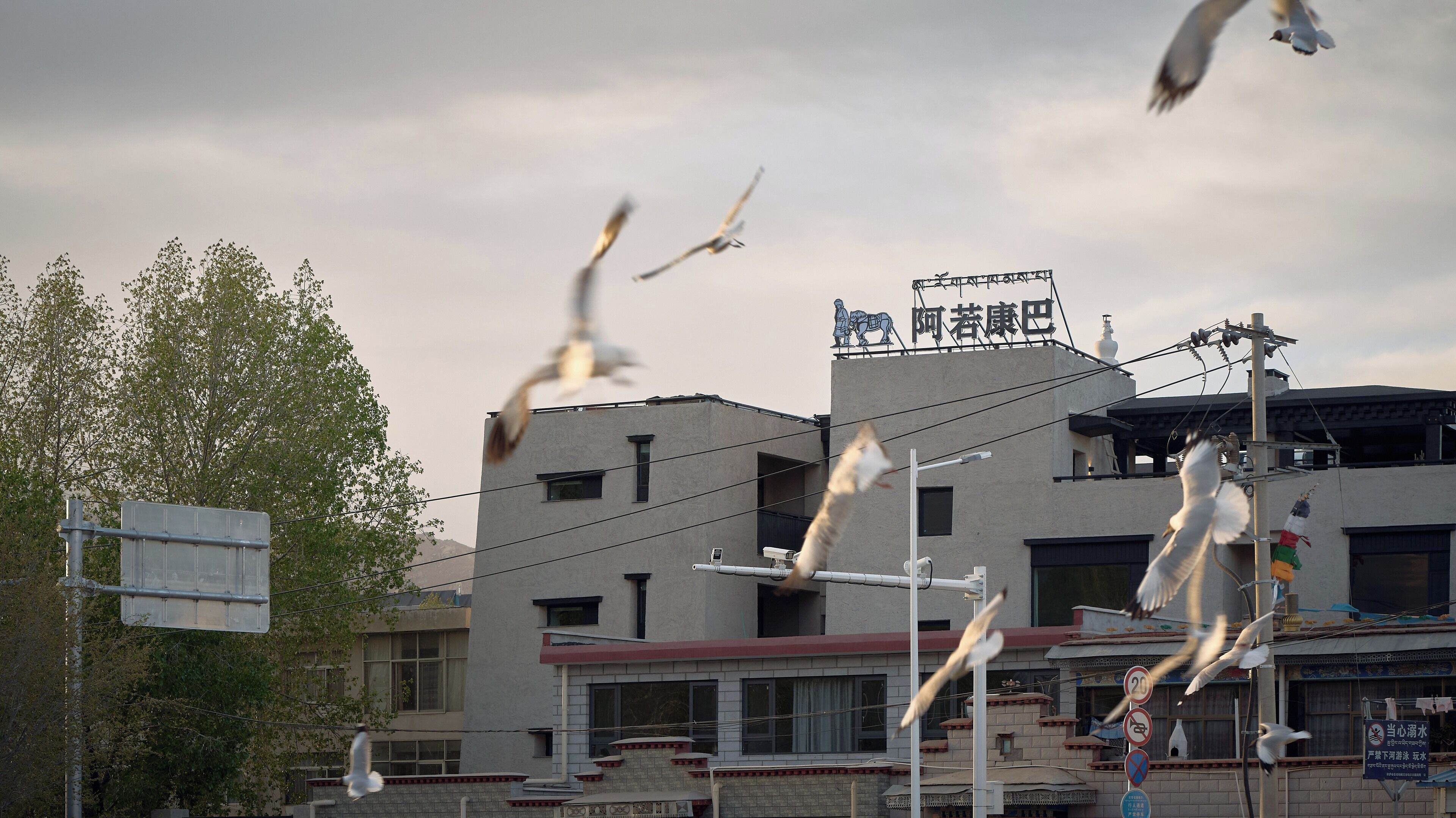 A building with a sign that reads "阿若康巴" and a statue on top.