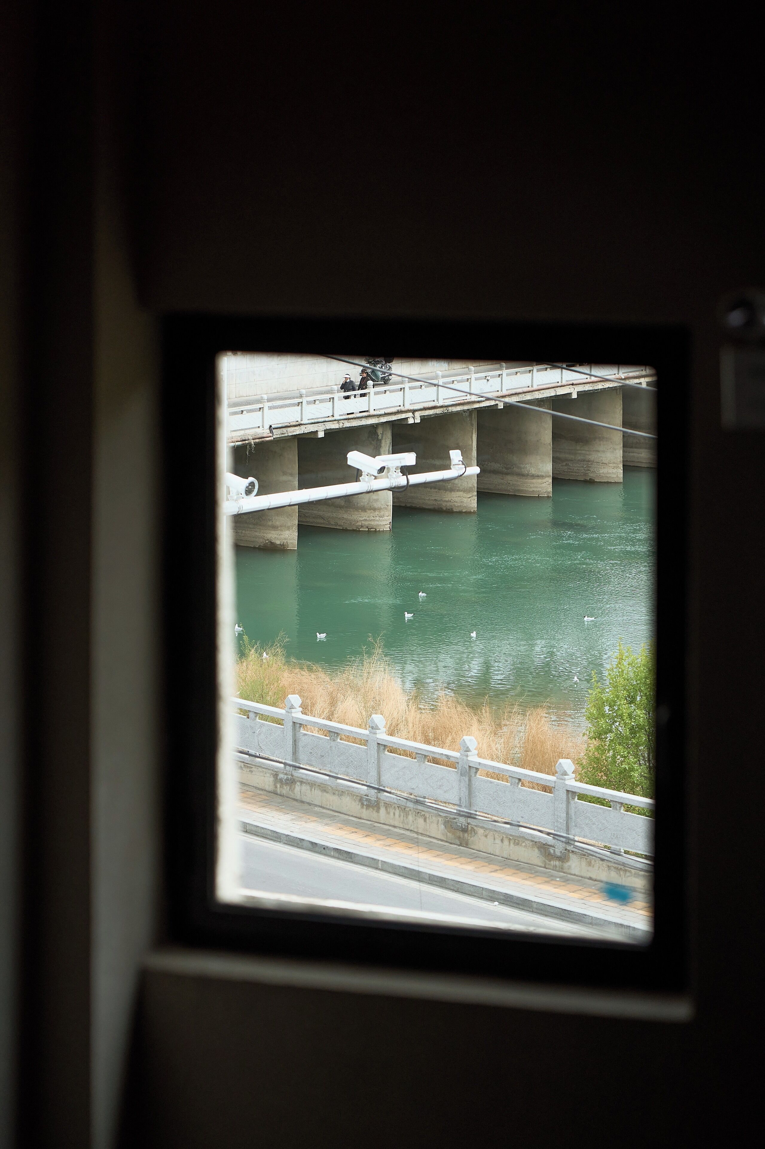 Uitzicht door een raam op een brug over een rivier, met zwanen.