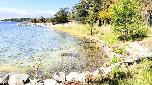 A clear lake with a rocky shoreline, surrounded by trees and vegetation. - Stockholm  Archipelago – Idyllic Island (Värmdö)