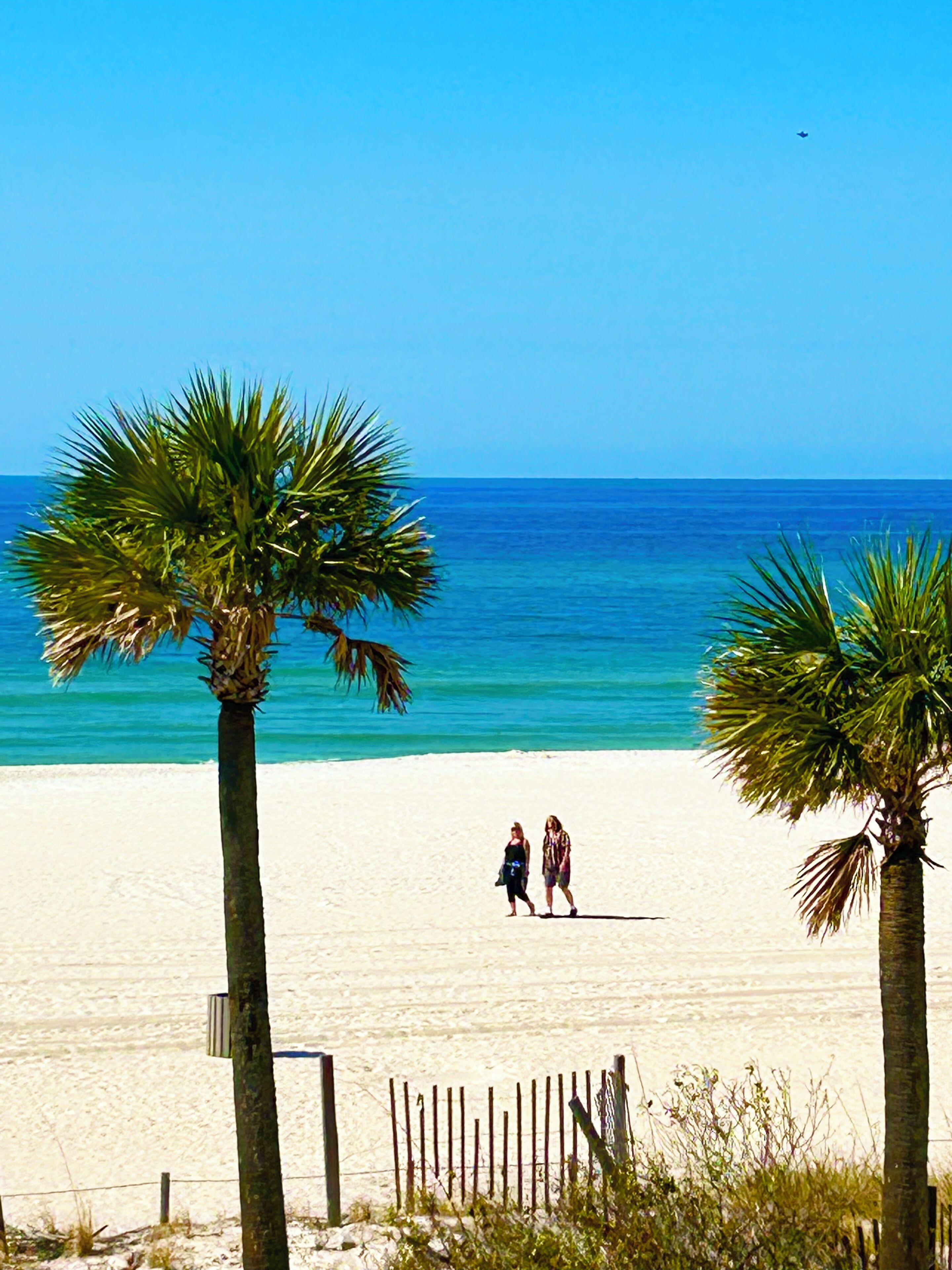 在海滩、沙滩椅、沙滩毛巾