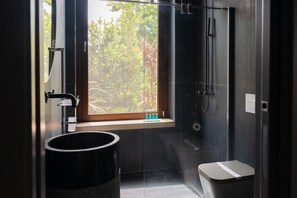 Regadera, secadora de cabello, bidet, toallas 