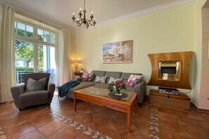 TV connectée, cheminée, lecteur de DVD, chaîne hi-fi