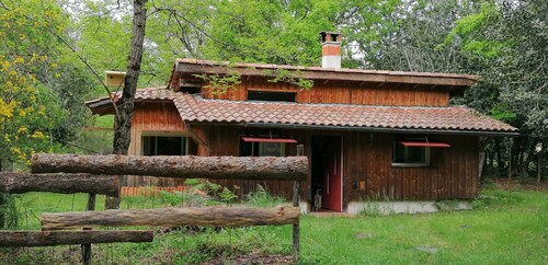 La Palombière – A Cozy Cabin for Ultimate Relaxation and Forest Views