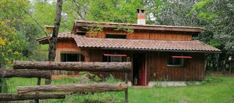 La Palombière – A Cozy Cabin for Ultimate Relaxation and Forest Views