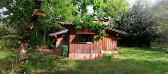 La Palombière – A Comfortable Forest Cabin in the Heart of the Landes de Gascogne Nature Park