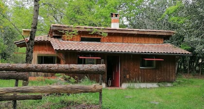 La Palombière – A Cozy Cabin for Ultimate Relaxation and Forest Views