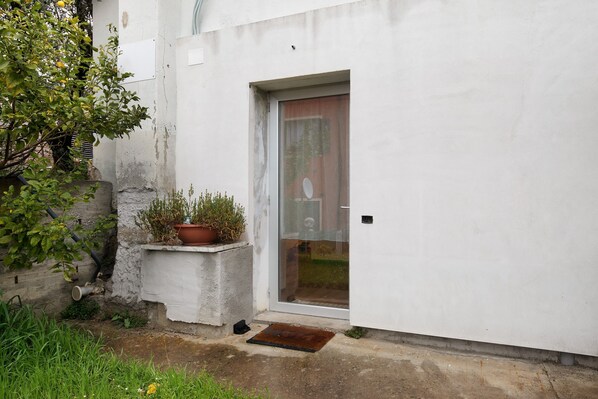 A white exterior wall with a door, a potted plant, and a small step leading to the door.