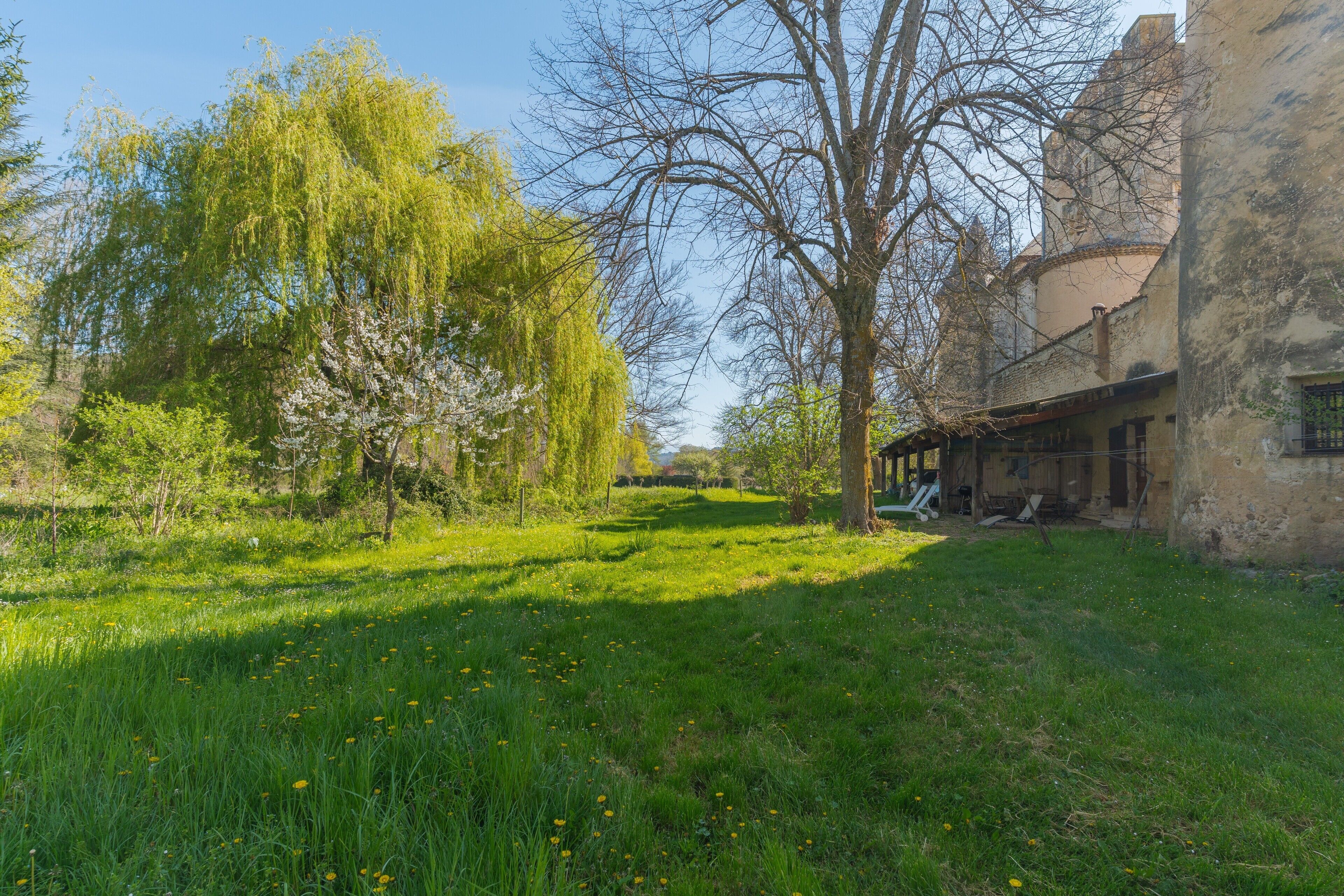 A courtyard with a grassy area, trees, and a building with a rustic facade.