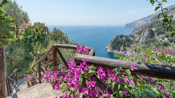 A coastal view with a wooden staircase, lush greenery, and a clear blue sea.