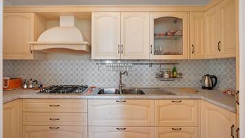 Fridge, oven, stovetop, dishwasher