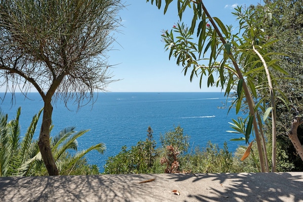 A coastal view with trees and a clear blue sea.