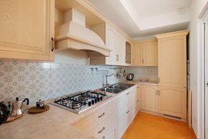 Fridge, oven, stovetop, dishwasher