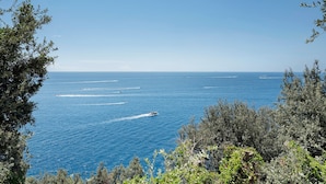 Une vue sur la côte, avec une mer bleue et limpide, des bateaux et une végétation luxuriante.