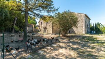 Terrein van de accommodatie