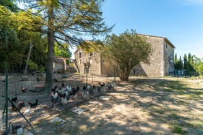 Parco della struttura