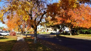 A residential street lined with trees displaying autumn foliage.