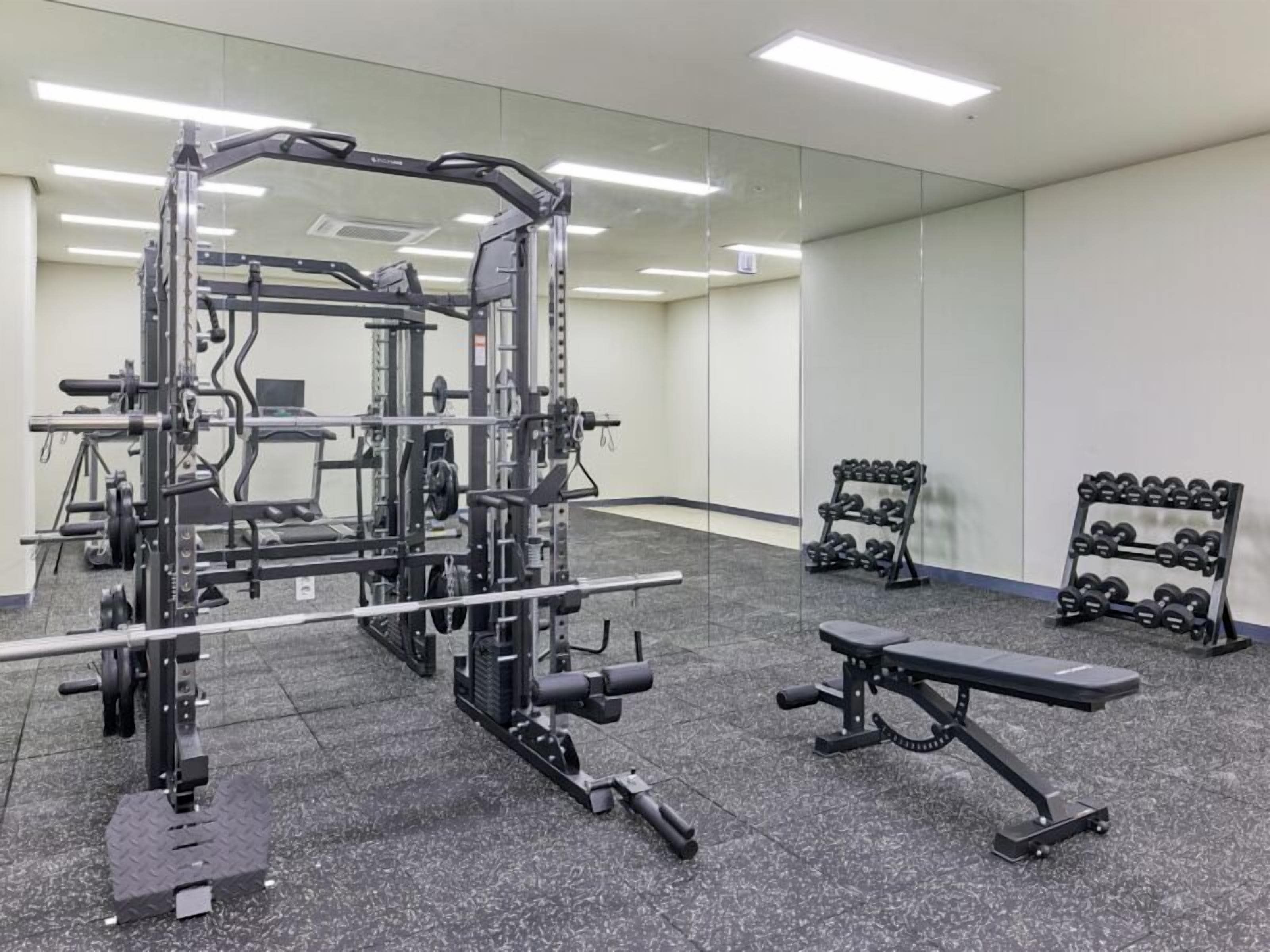 A gym with a squat rack, bench press, and dumbbells.