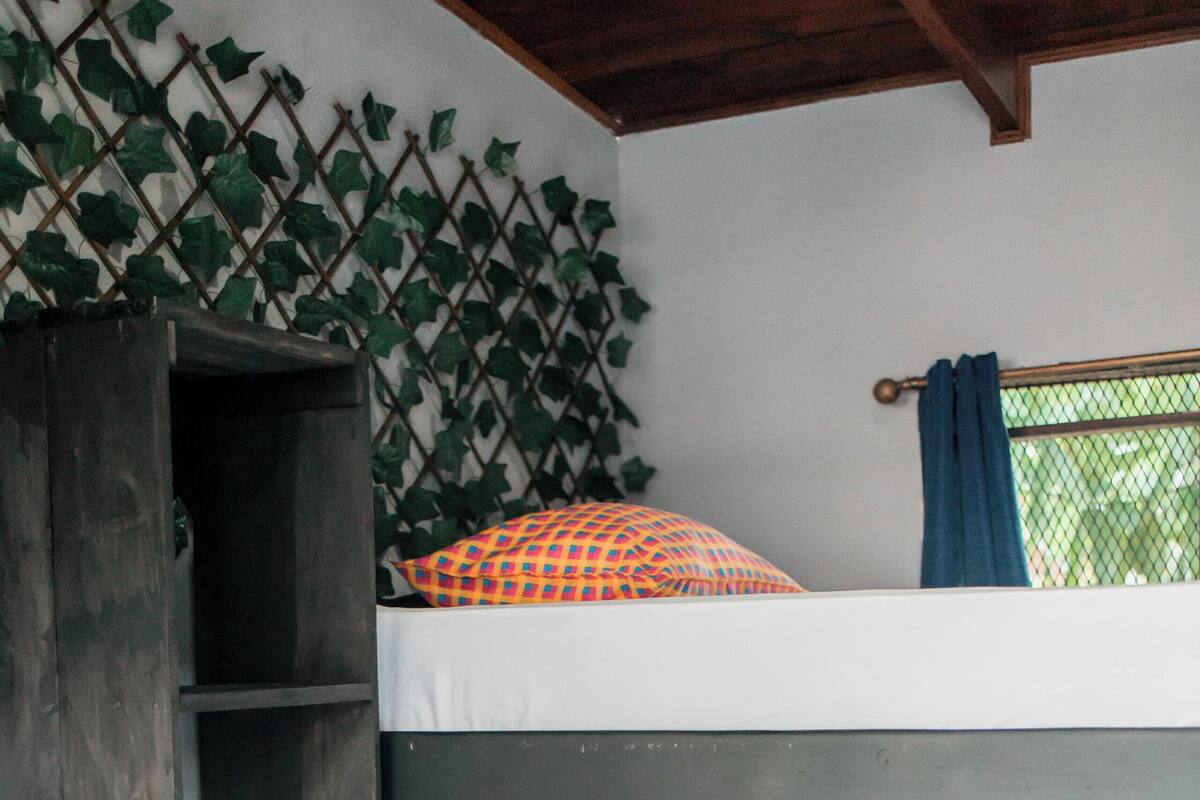 Una cama litera con dos plazas, una estantería de madera y una ventana con cortinas azules.
