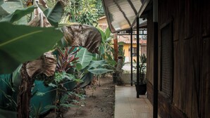 A narrow pathway flanked by large tropical plants leading to a wooden building with a metal roof. - Dominical Long Term Rental (Bahía Ballena)