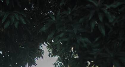 Dominical Long Term Rental