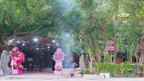 未分類的圖片，第 2 張，共 15 張，按鈕