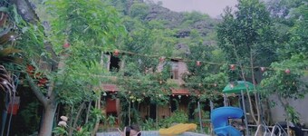 Ali Home