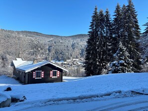 Exterior - Charming Chalet - Breathtaking Views - Catering Options (Morzine)