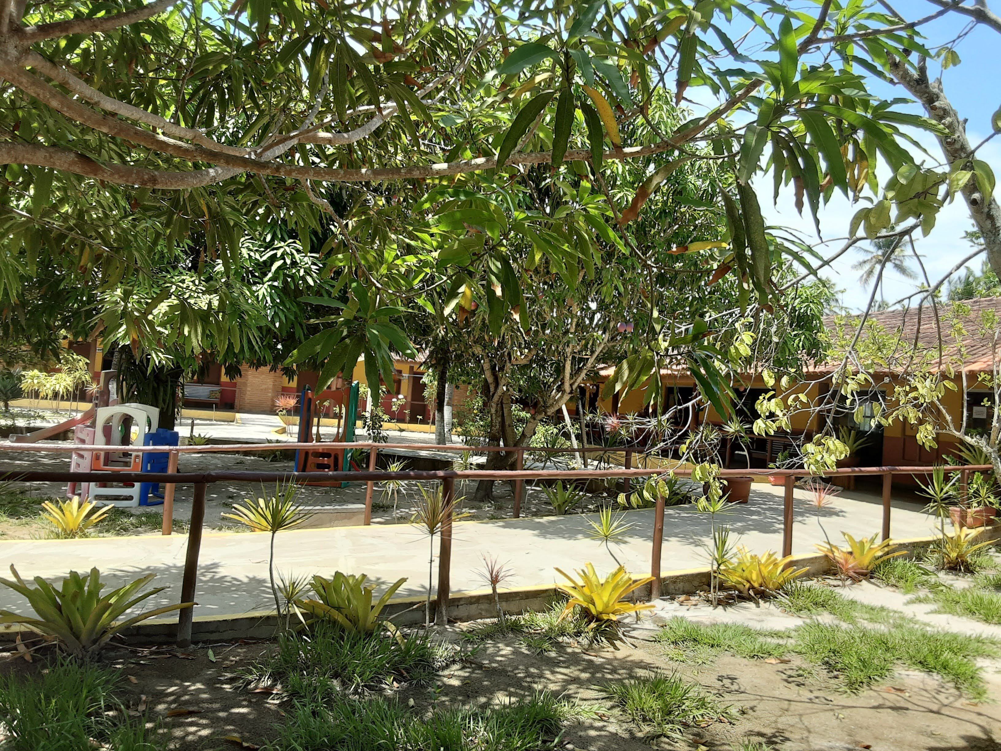 A courtyard with a paved walkway, surrounded by various plants and trees.