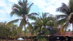 A swimming pool with lounge chairs and palm trees. - Patipe Praia Hotel (Canavieiras)
