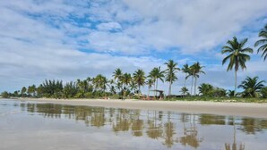 A beach with palm trees and a clear sky. - Patipe Praia Hotel (Canavieiras)